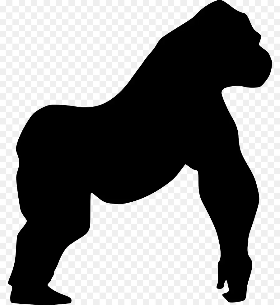 Gorila，Cavalo PNG