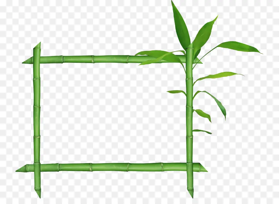 Bambu，Gráficos De Quadriculação PNG