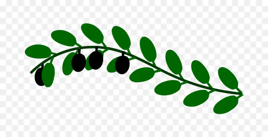 Olive Branch，Azeite De PNG