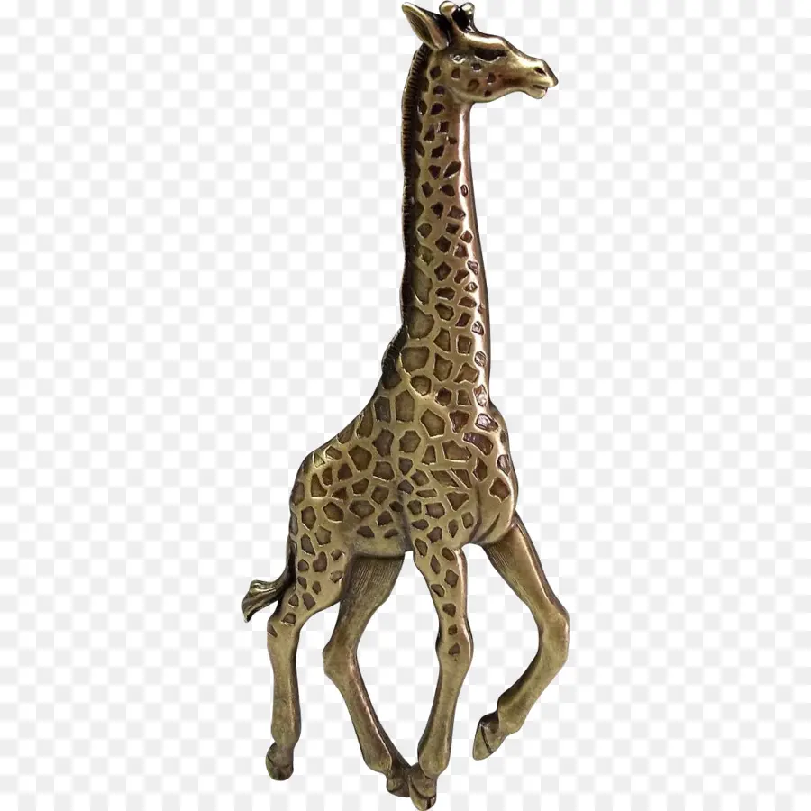 Girafa，Alto PNG