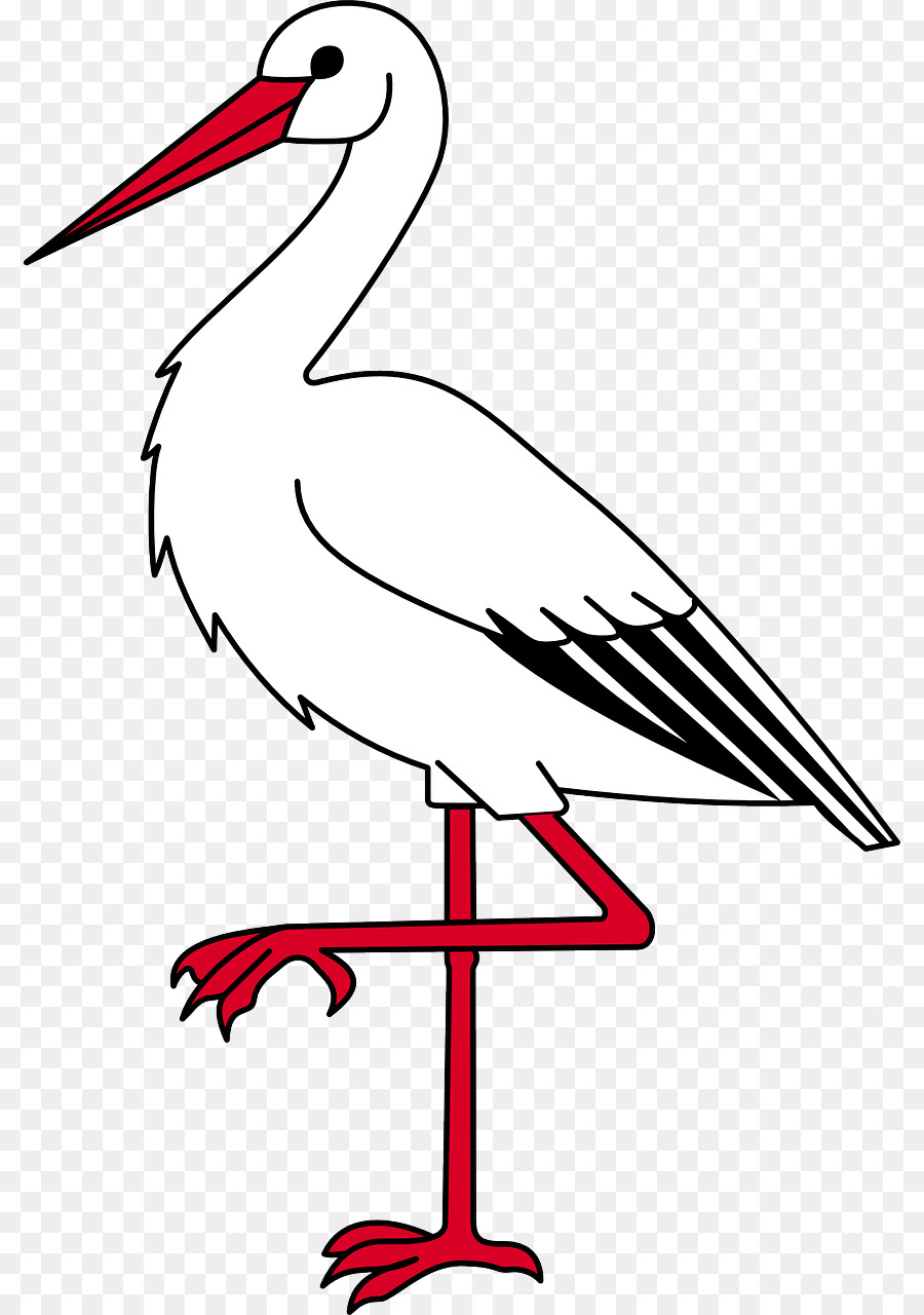 Ibis，Americano Branco Ibis PNG