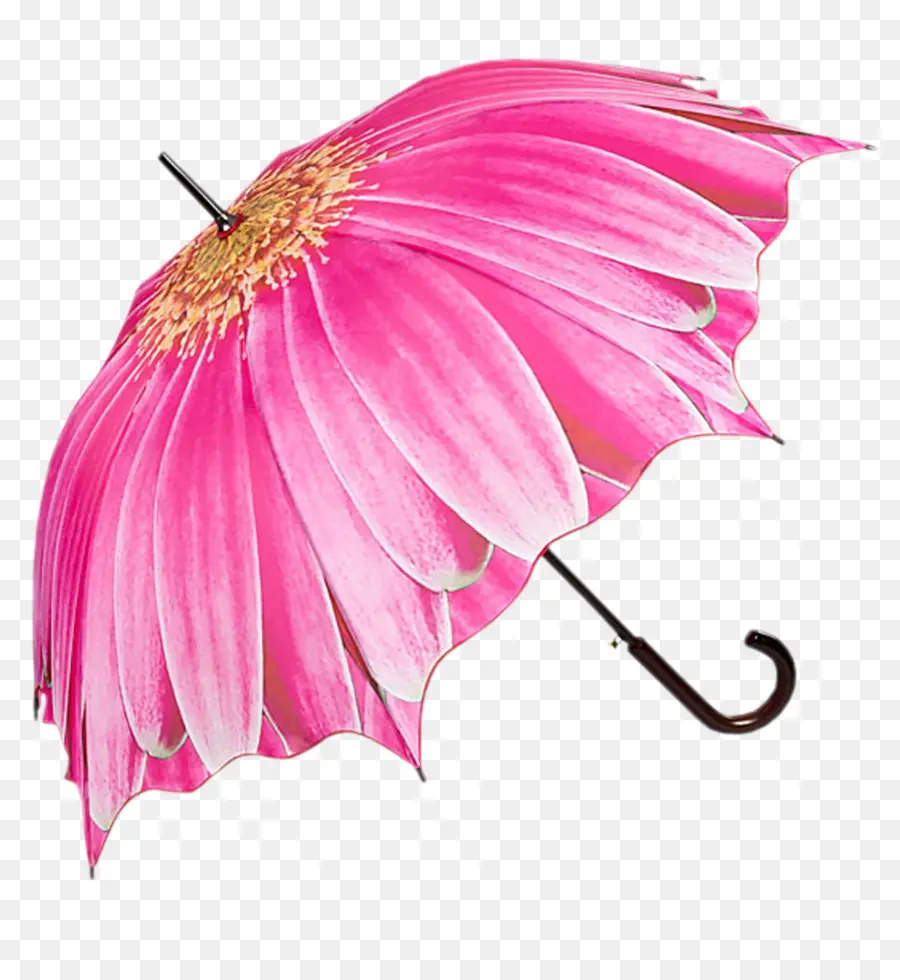 Guarda Chuva De Flores，Rosa PNG