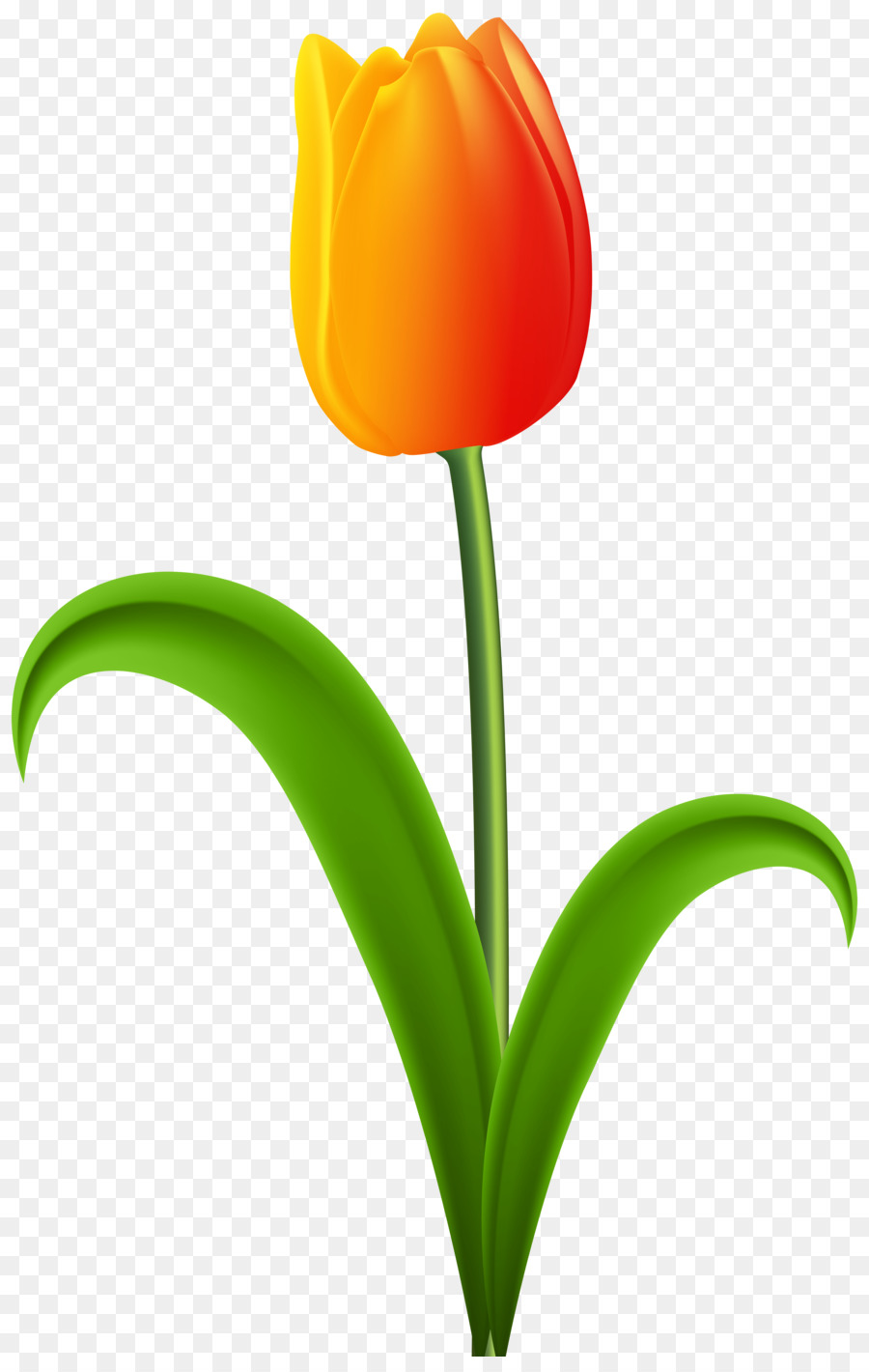 Tulipas Amarelas，Primavera PNG