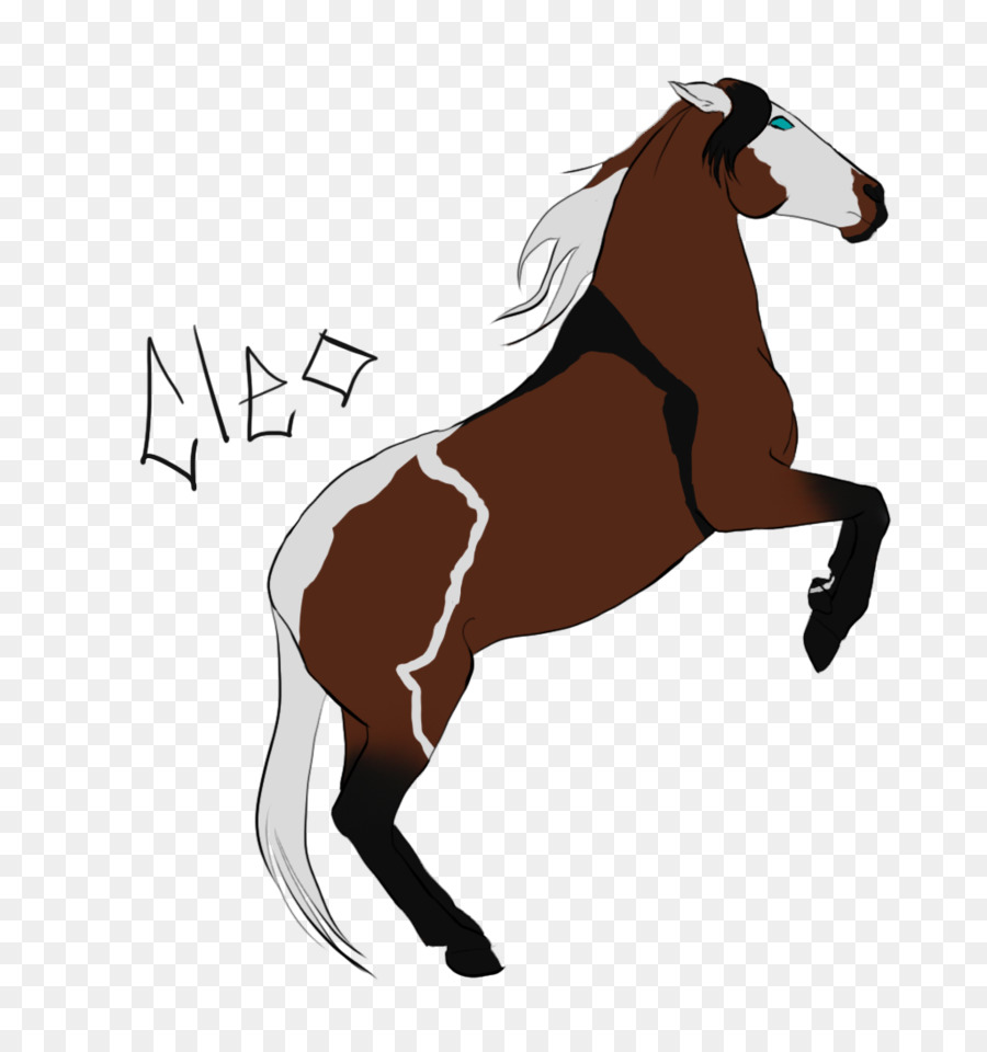 Mustang，Mane PNG