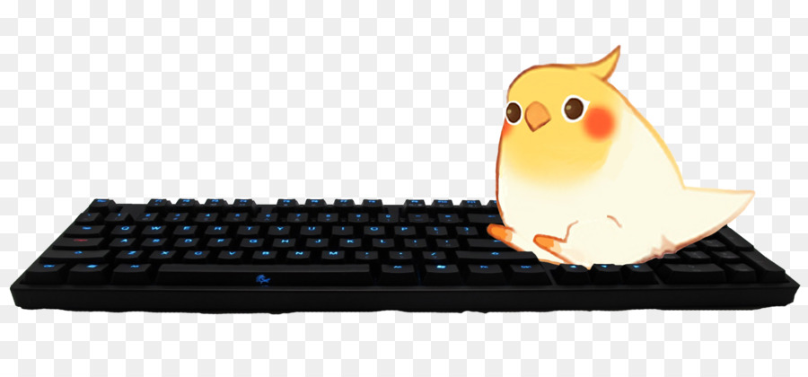 Aves，Laptop PNG