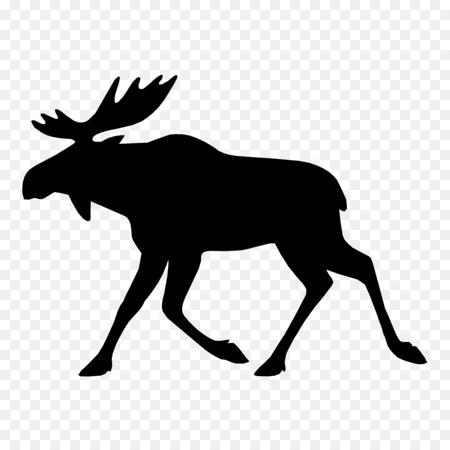 Moose，Elk PNG