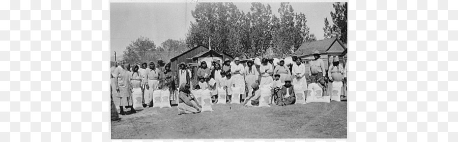 National Archives And Records Administration，Os Nativos Americanos Nos Estados Unidos PNG