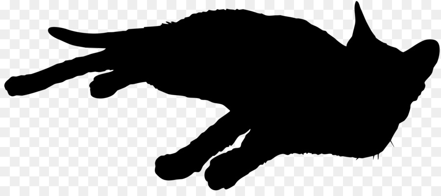 Gato Preto，Gato PNG