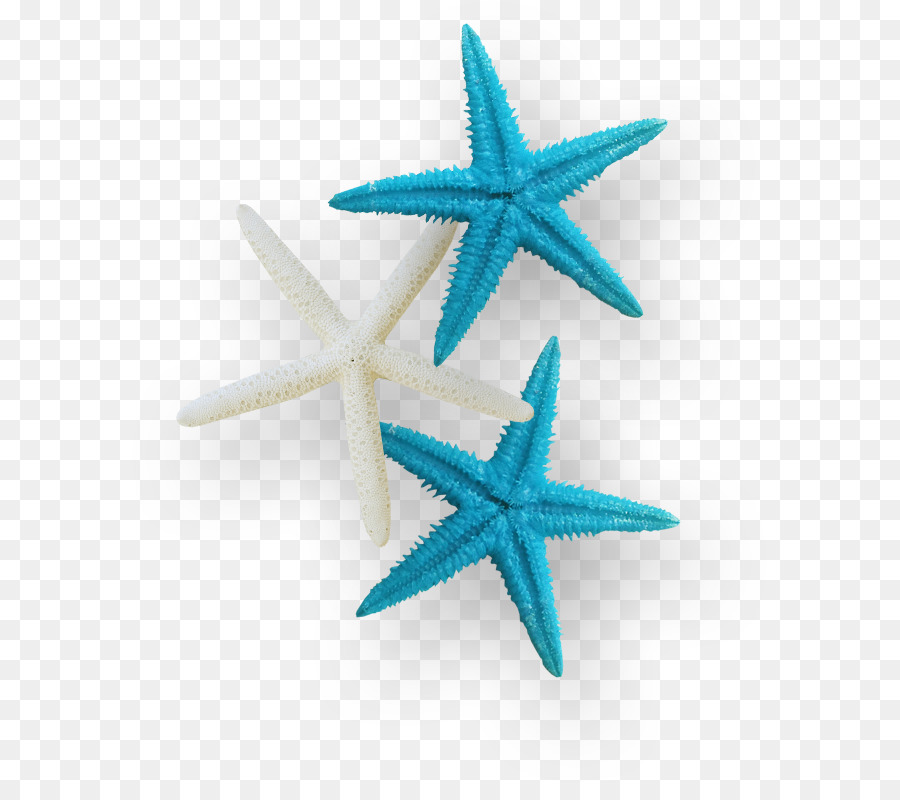 Estrela Do Mar，Marinho PNG