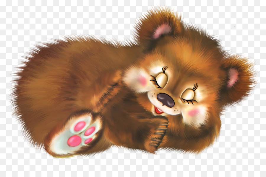 Urso Adormecido，Bonitinho PNG