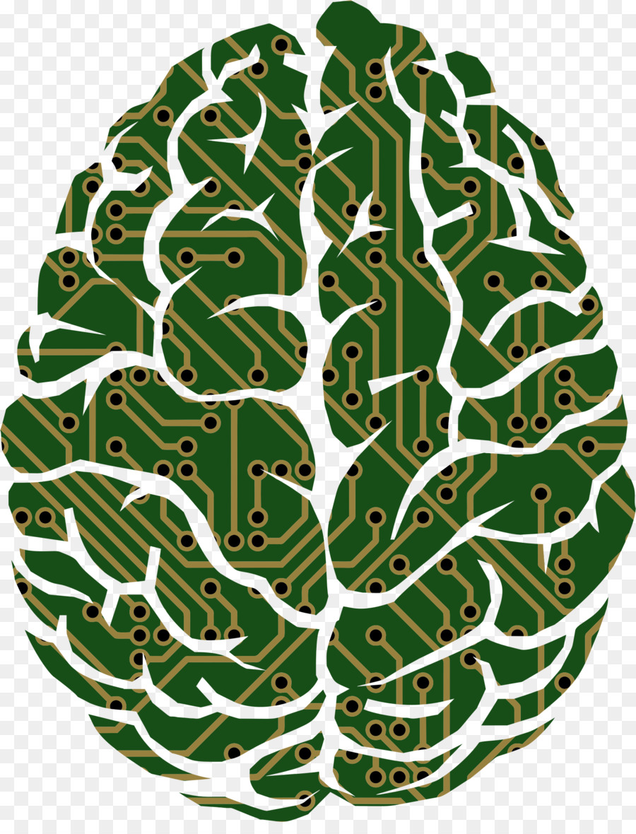 Cérebro，Neurociência PNG