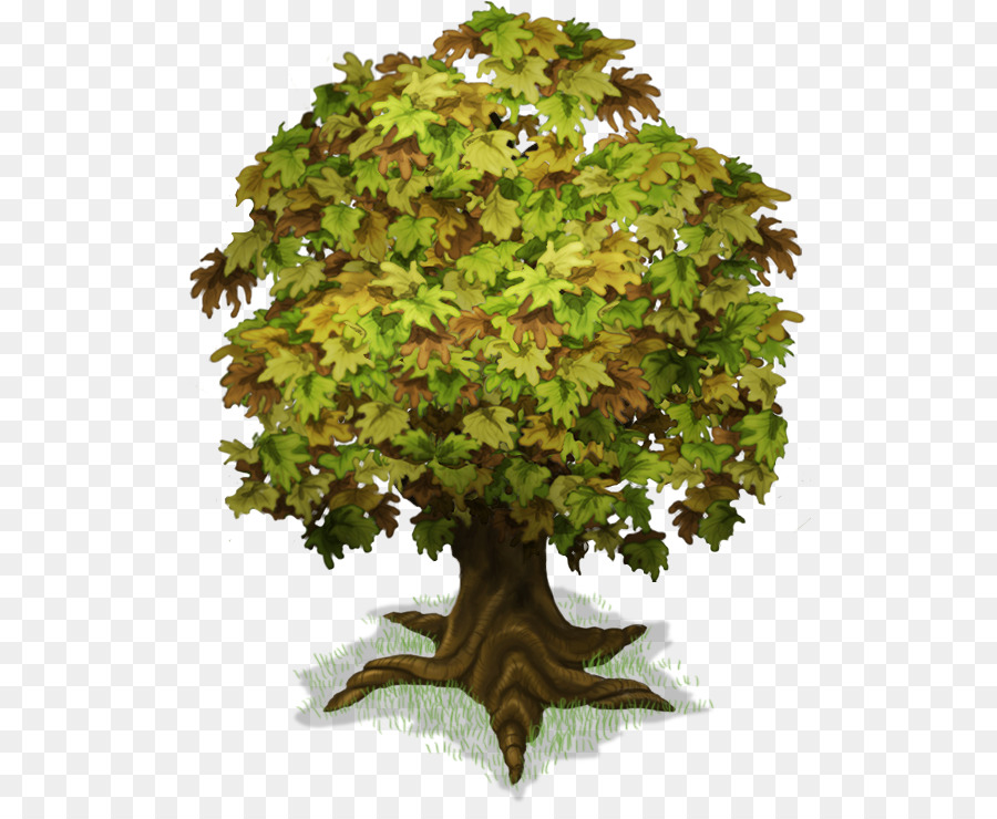 árvore，Planta PNG