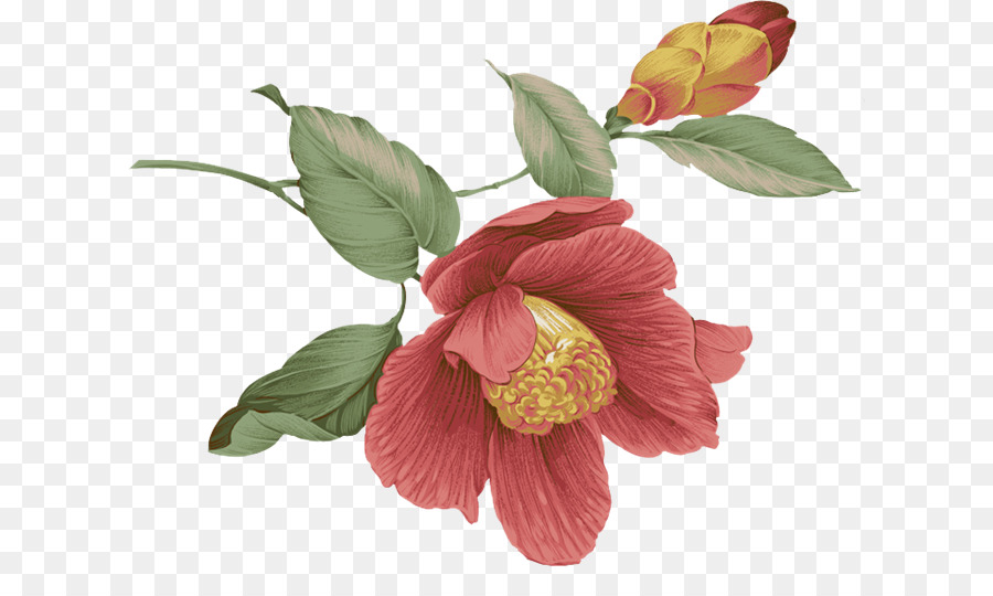 Flores，Ramalhete PNG