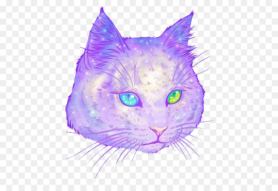 Gato Colorido，Gato PNG