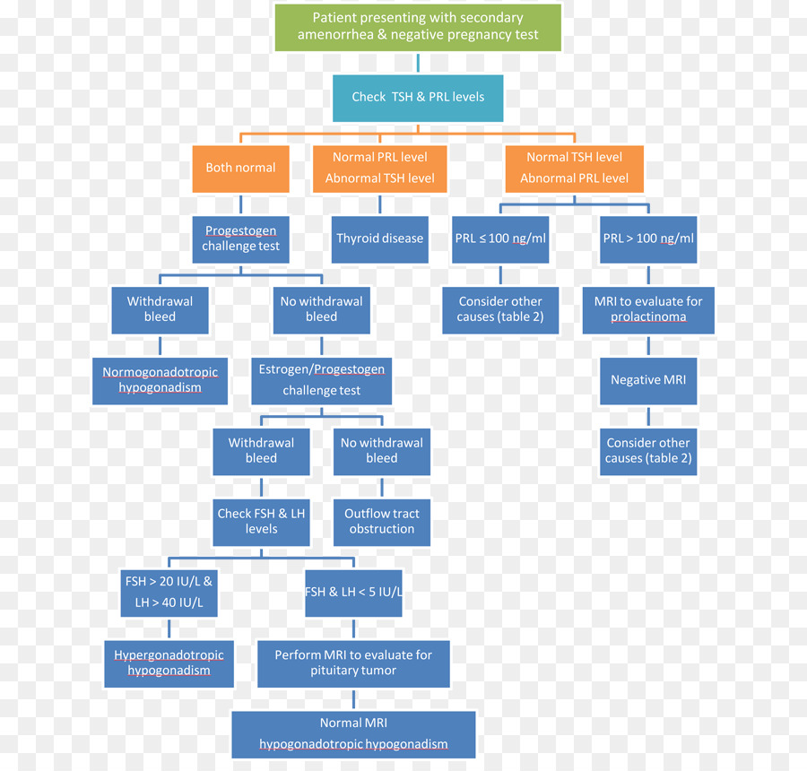 Ausência De Menstruação，Doença PNG