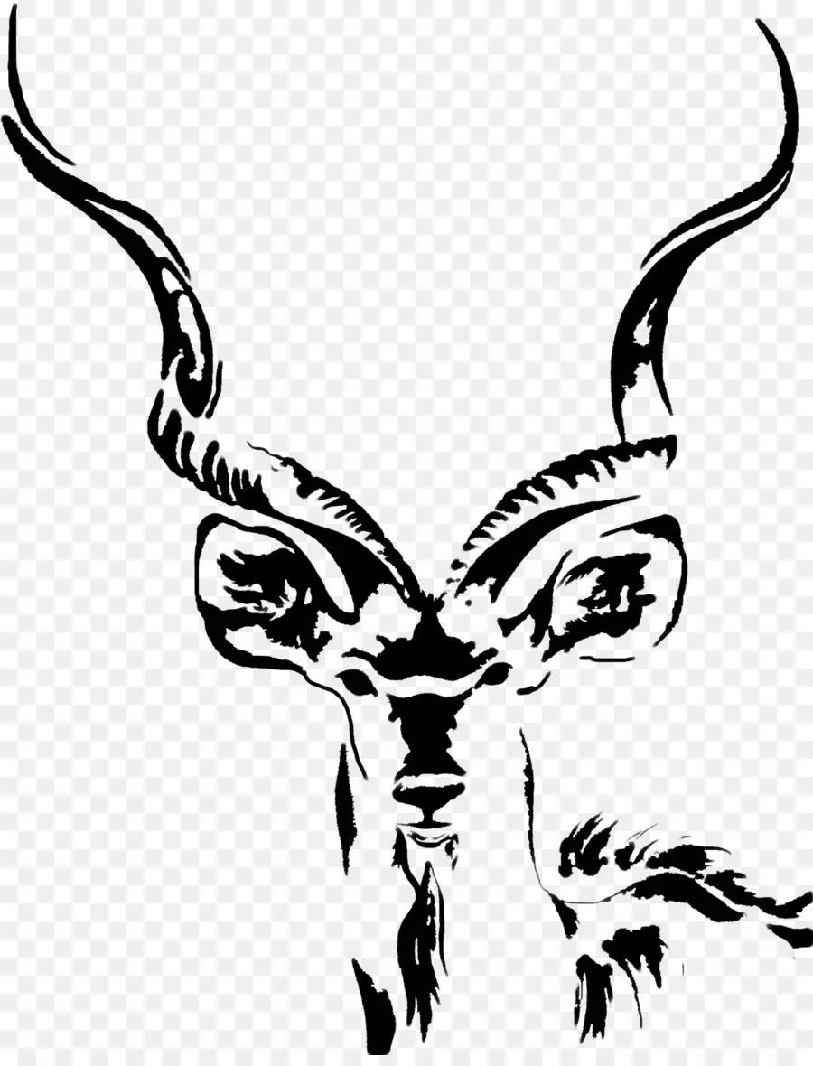 Kudu，Desenho PNG