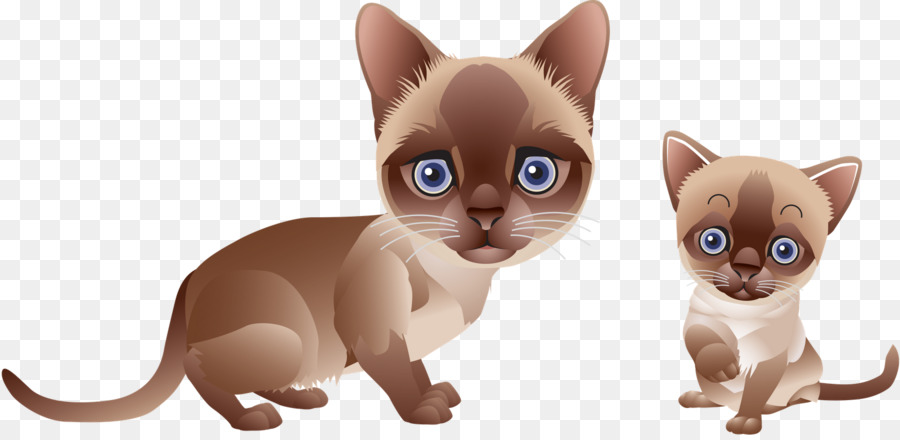 Gatos De Desenho Animado，Bonitinho PNG