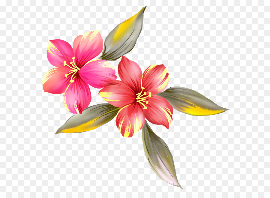 Pintura，Flor PNG