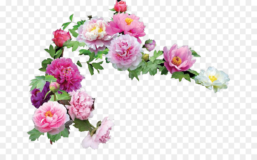flor as rosas do jardim encapsulated postscript png transparente grátis