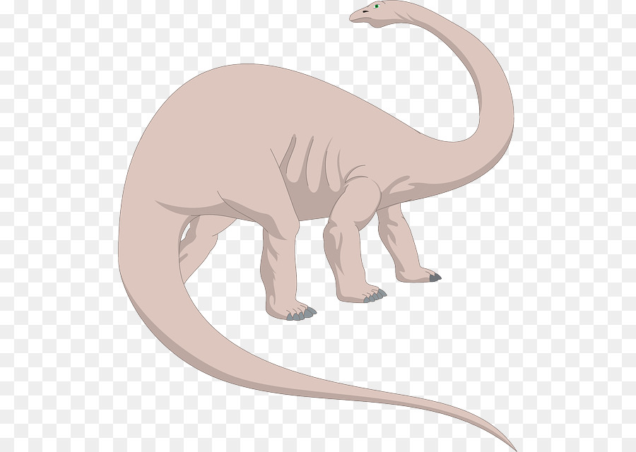 Rhamphorhynchus，Brontosaurus PNG
