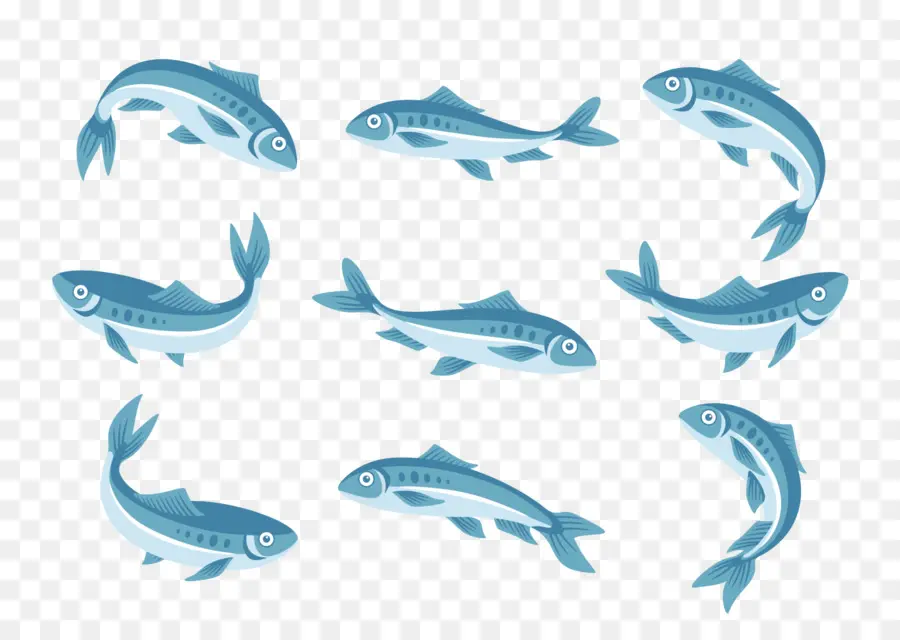 Peixe，Azul PNG