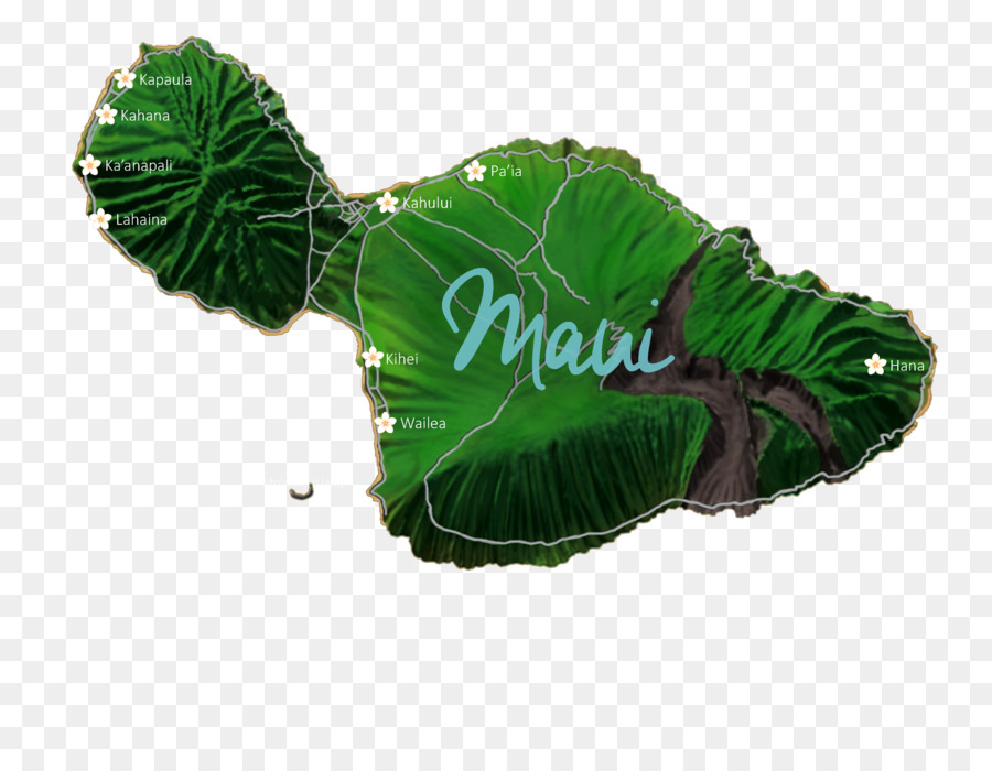 Maui，Havaí PNG