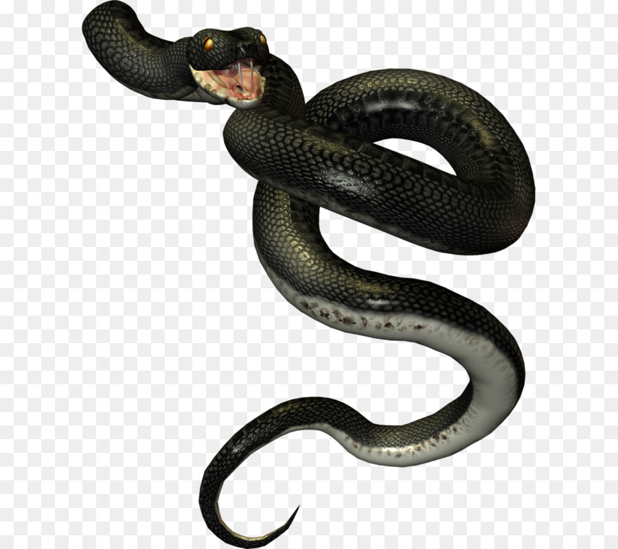 Cobra Negra，Réptil PNG