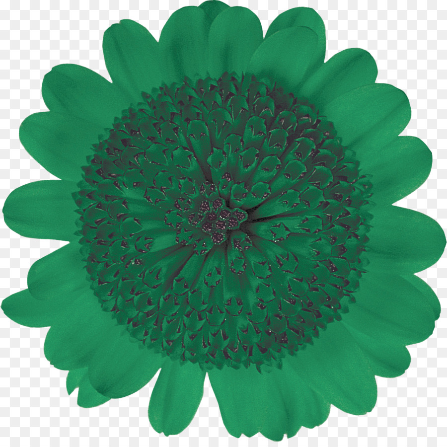 Flor，Florescer PNG