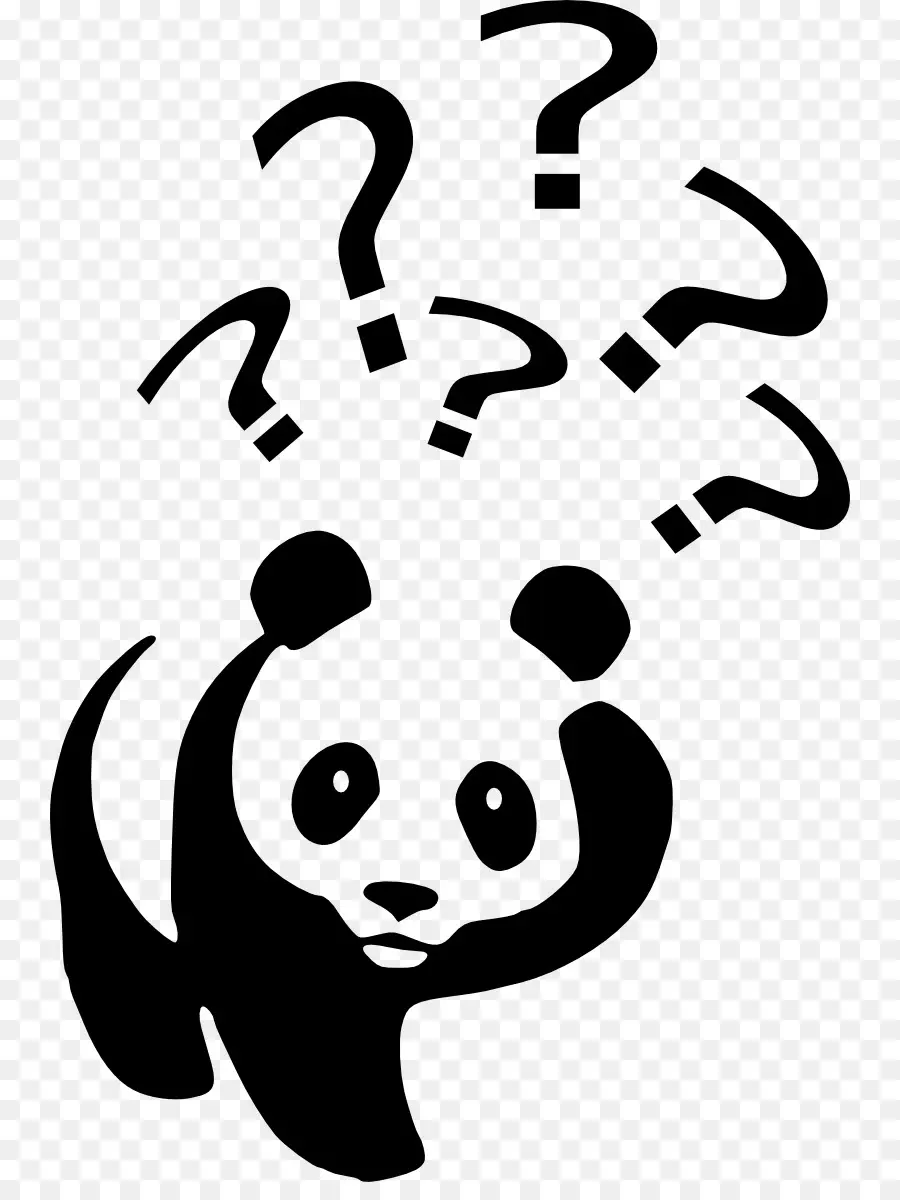 Panda Gigante，Ponto De Interrogação PNG