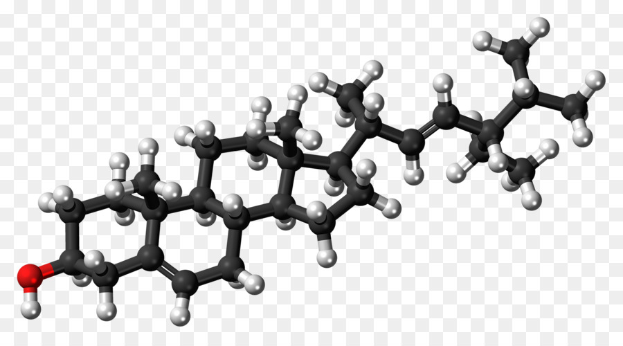 O Colesterol，A Lipoproteína De Alta Densidade PNG