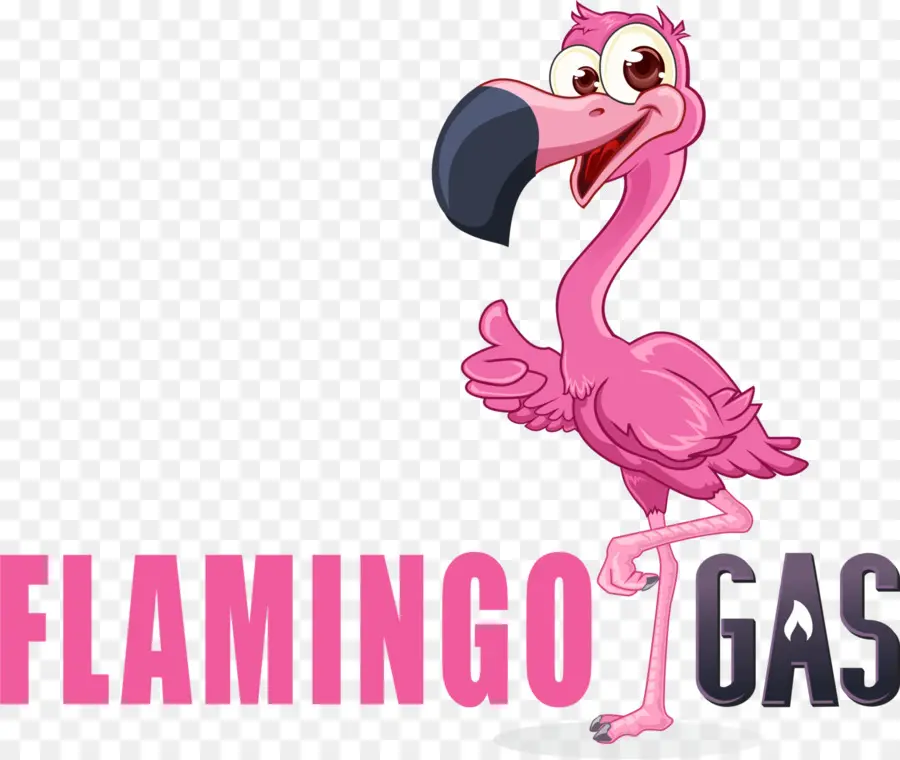 Flamingo，Pássaro PNG