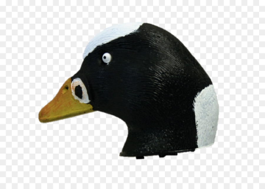 Pato，Ganso PNG