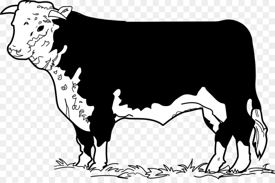 O Gado Jersey，Holstein Frísia Gado PNG