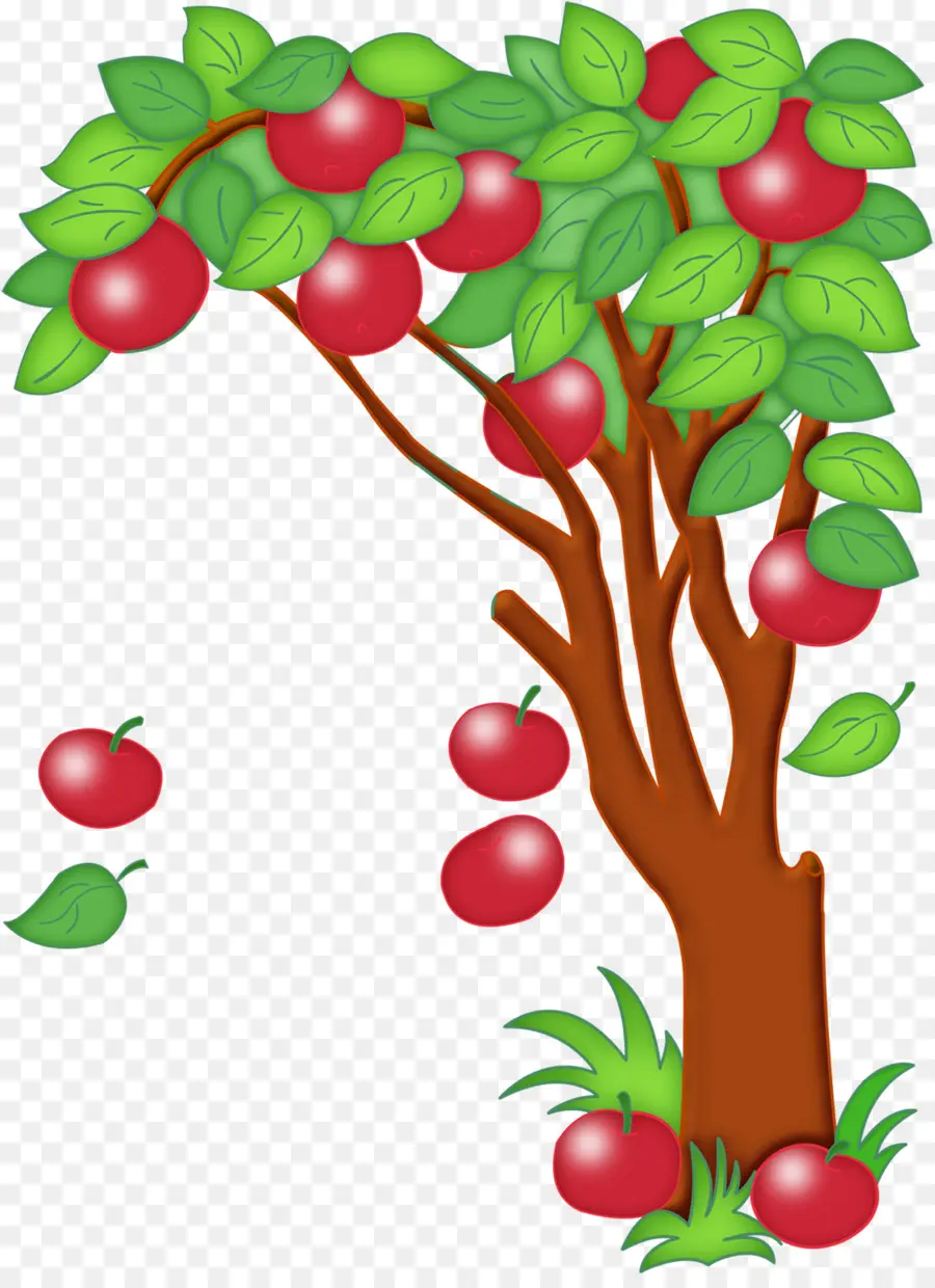 Macieira，Fruta PNG