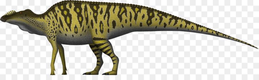 Dinossauro，Réptil PNG