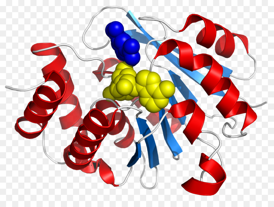 Catecholomethyltransferase，Catecol PNG