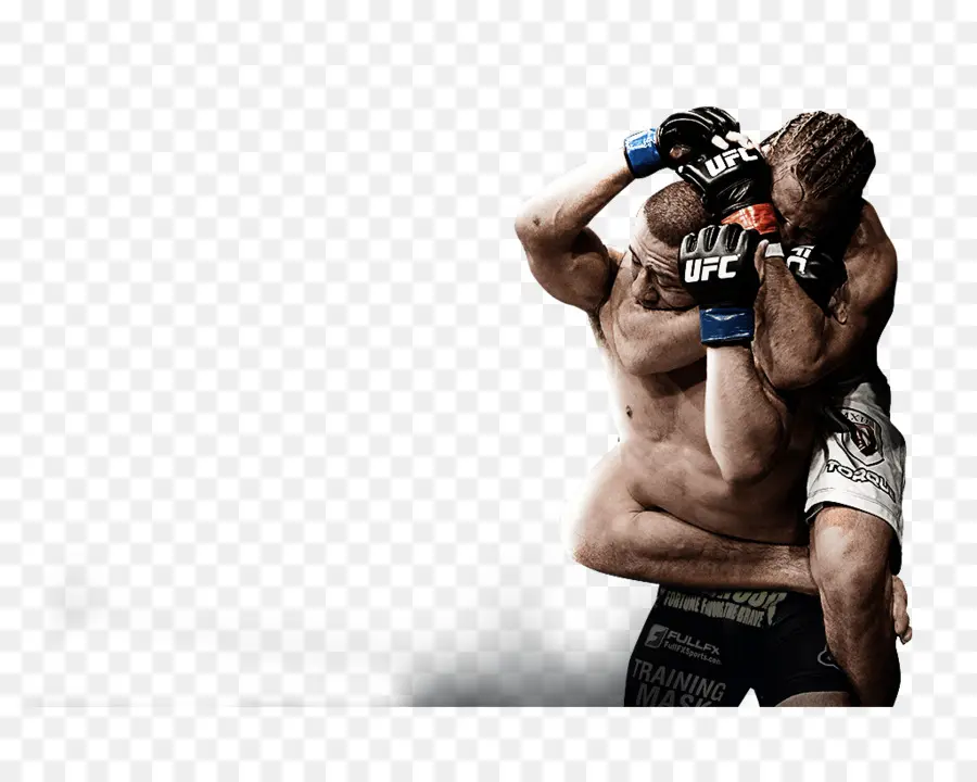 Lutadores De Mma，Combate PNG