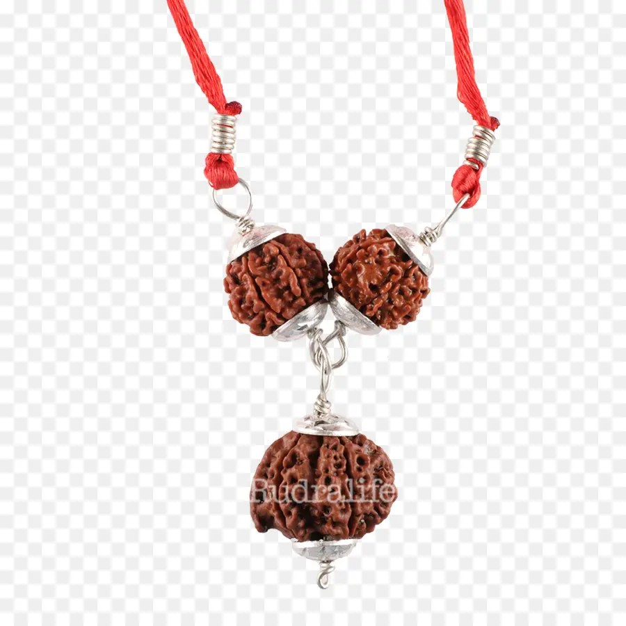 Colar Rudraksha，Miçangas PNG