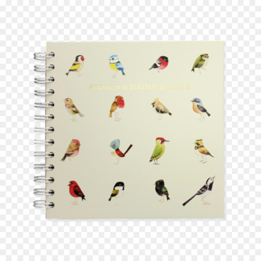 Notebook，Papel PNG