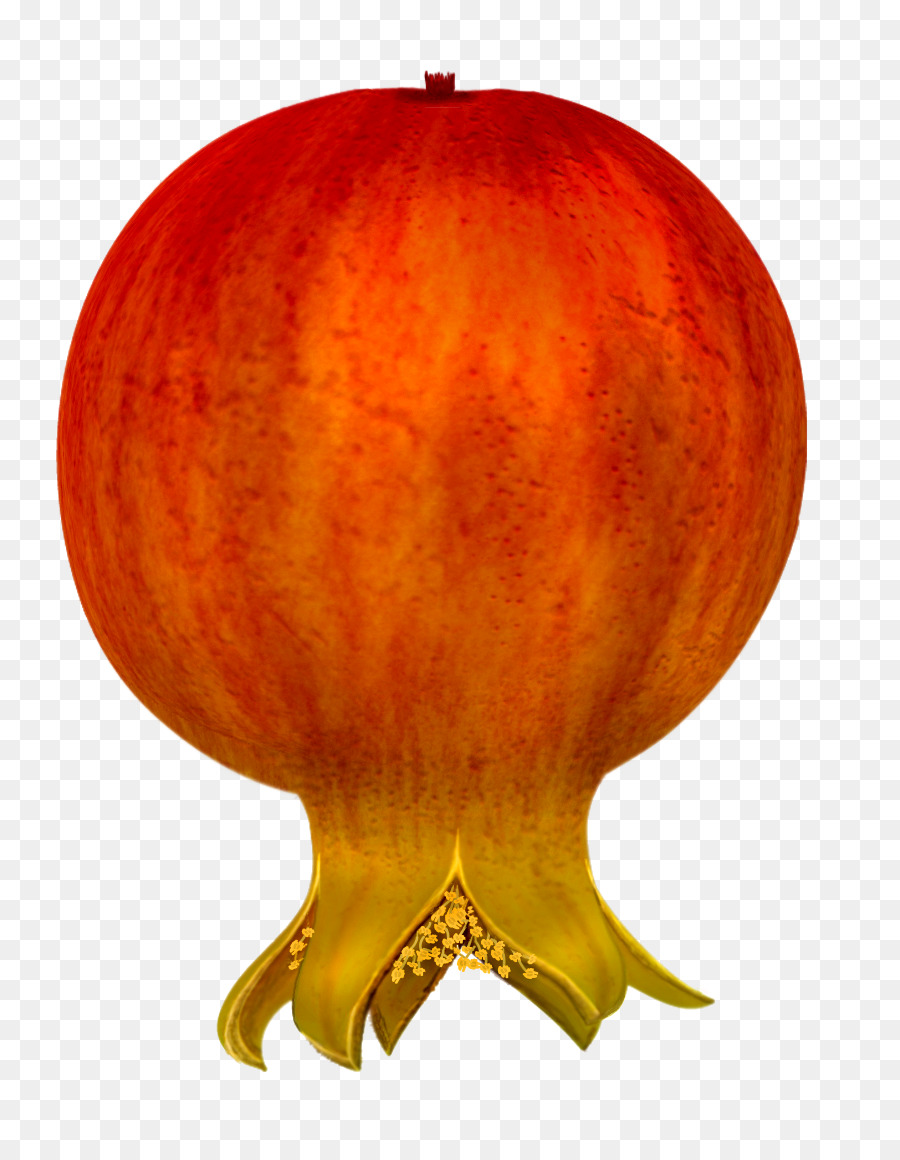 Romã，Fruta PNG