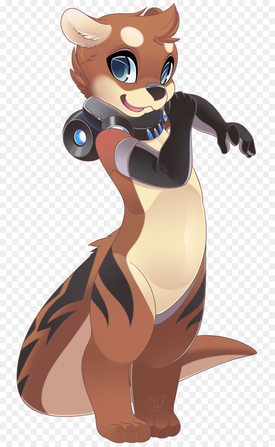 Lontra，Gato PNG