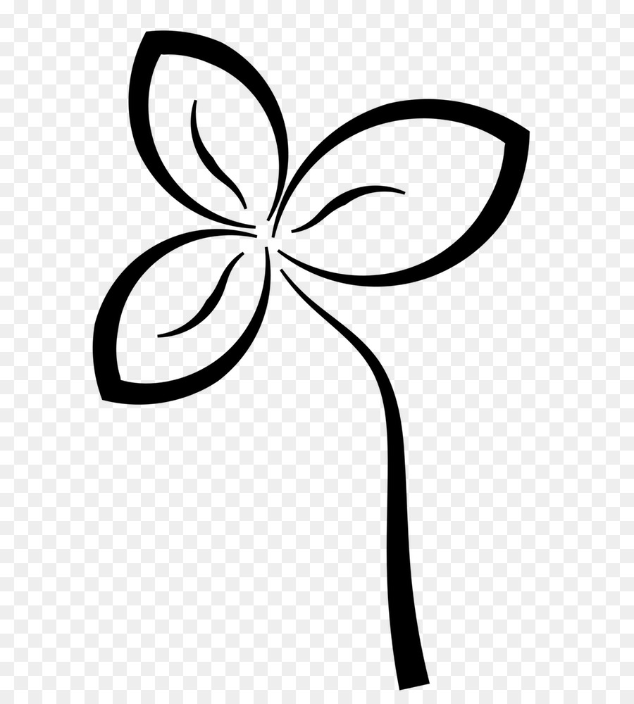 Papel De Parede Da área De Trabalho，Flor PNG