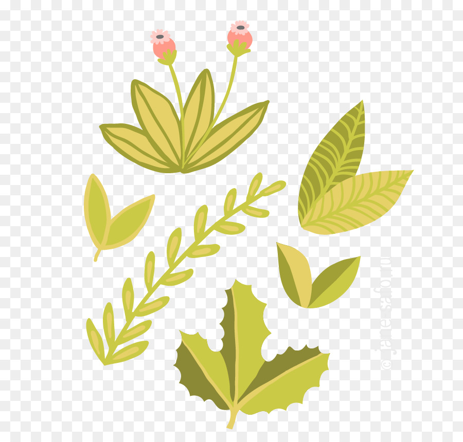 Folhas Verdes，Plantas PNG