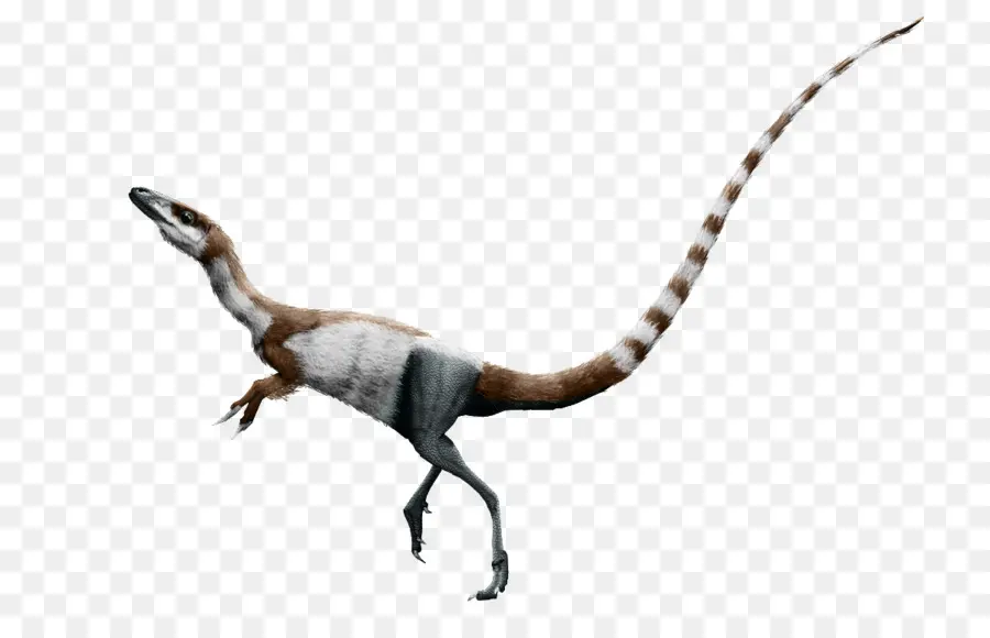 Sinosauropteryx，Daspletosaurus PNG