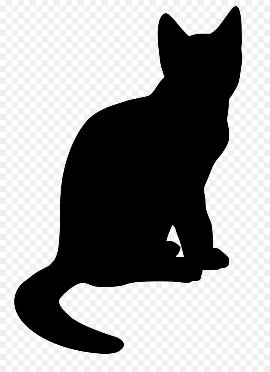 Gato，Desenho PNG