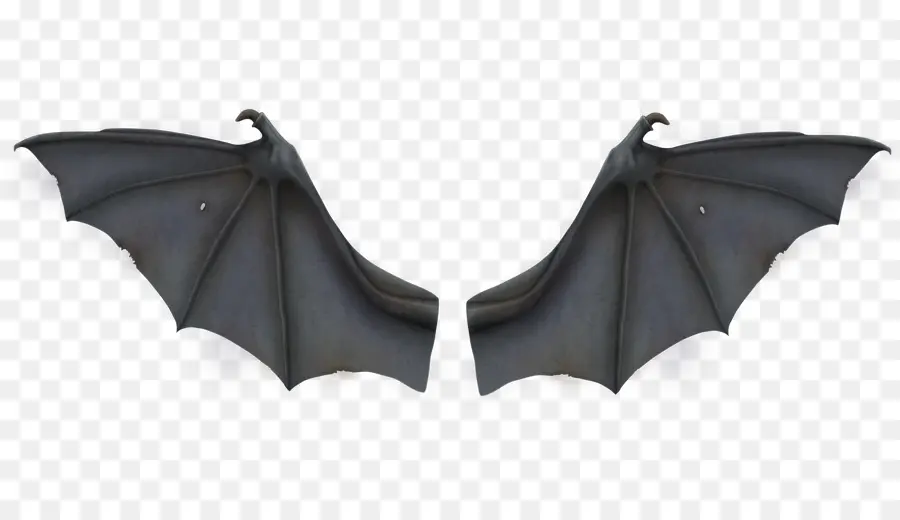 Bat，Bat Asa De Desenvolvimento PNG