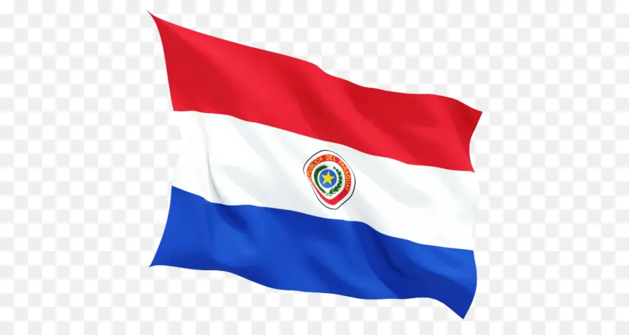 Bandeira Do Paraguai，Bandeira De El Salvador PNG