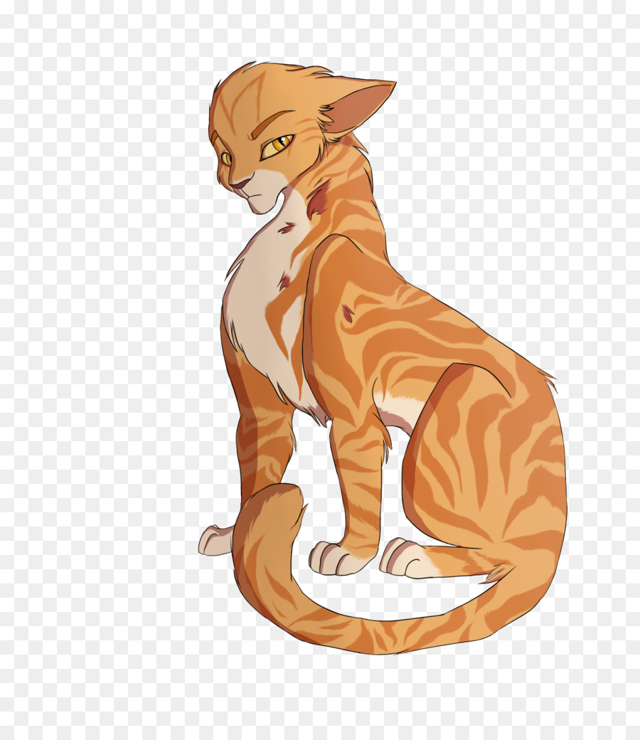 Gato De Desenho Animado，Felino PNG