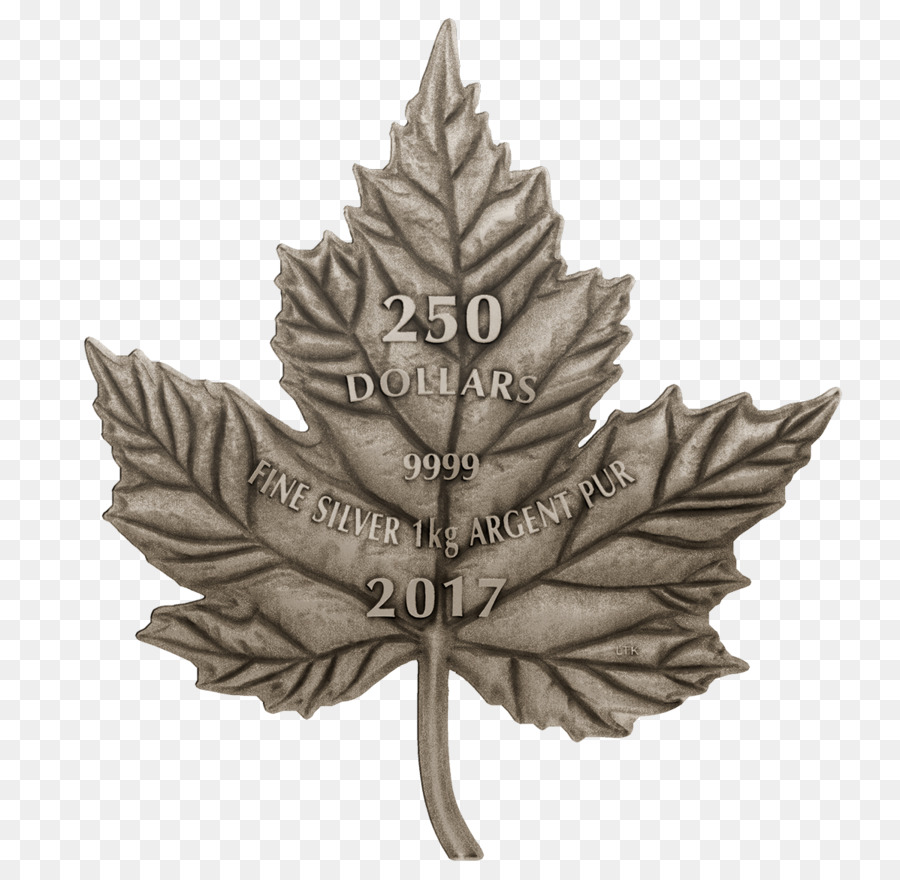 Canadá，Maple Leaf PNG