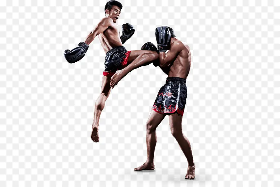 Muay Thai，Boxe PNG